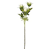Kunstblume Distel (67 cm, Creme, Kunststoff) | BAUHAUS