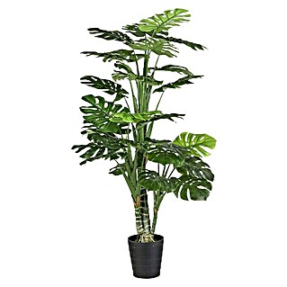 Planta artificial Monstera (Ø x Al: 80 x 160 cm, Plástico)