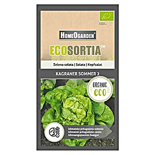 HomeOgarden Sjeme salate Ecosortia (Lactuca sativa, Berba: Svibanj - Rujan)