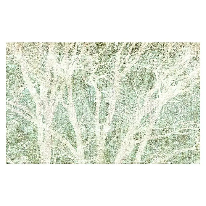 Komar Infinity 2 Fototapete Peaceful PlaceWeiß, B x H: 400 x 250 cm, Vlies - Abstraktes Bild von Bäumen ohne Blätter in Weiß und Grün. Verleiht jedem Raum einen Hauch von Natur und modernem Design.
