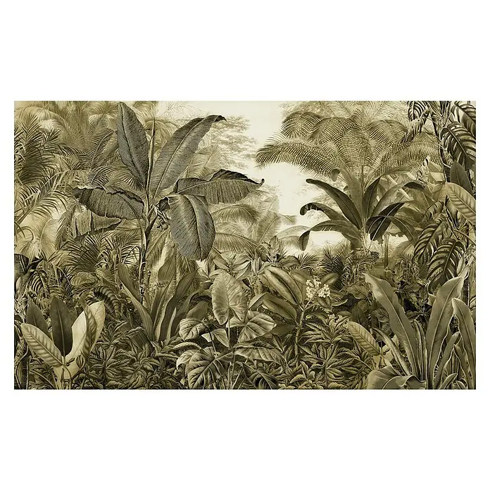 Komar Infinity 2 Fototapete Adventure AwaitsB x H: 400 x 250 cm, Vlies - Üppiges Dschungel-Wandbild mit detaillierten Illustrationen von tropischen Pflanzen, ideal zur Schaffung einer exotischen Atmosphäre im Raum.