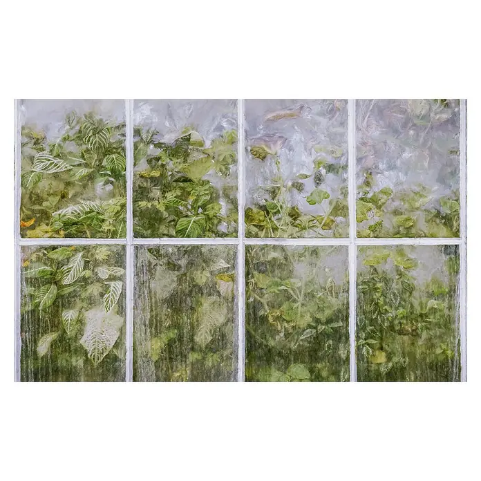 Komar Infinity 2 Fototapete Secret StashB x H: 400 x 250 cm, Vlies - Blick durch ein beschlagenes Fenster auf üppiges Grün, eine idyllische Szene, die die Schönheit der Natur hinter einer trüben Glasscheibe zeigt.