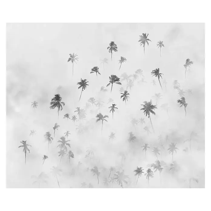 Komar Infinity 2 Fototapete Salty SeaB x H: 300 x 250 cm, Vlies - Schwarz-Weiß-Fotografie von Palmen, die im Nebel aufsteigen, mit minimalistischer Ästhetik und subtiler tropischer Atmosphäre.