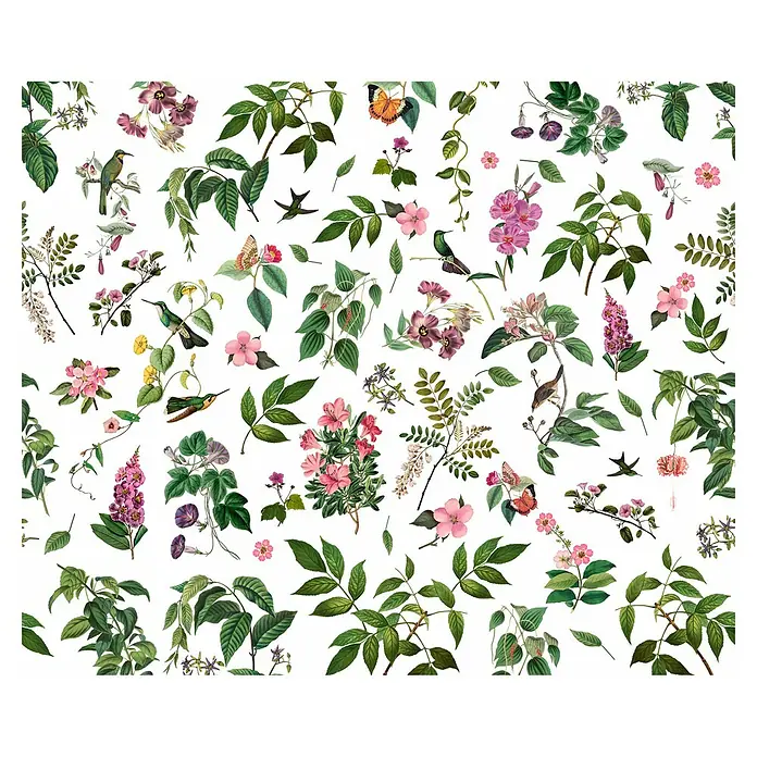 Komar Infinity 2 Fototapete Cottage CoreB x H: 300 x 250 cm, Vlies - Elegantes florales Muster mit Vögeln und Schmetterlingen, ideal für Dekorationen.