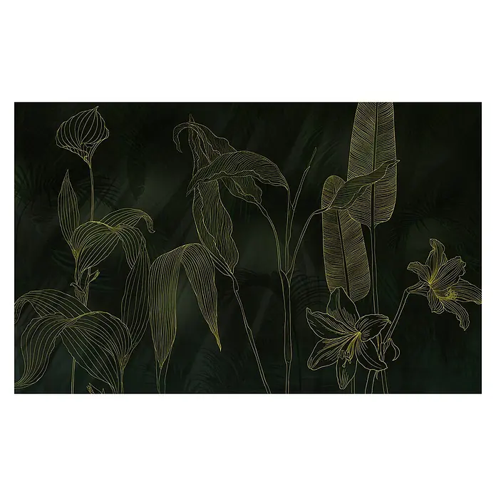 Komar Infinity 2 Fototapete Darkest Green - B x H: 400 x 250 cm, Vlies - Elegante botanische Illustration mit goldenen Linien auf dunklem Grund. Die feinen Pflanzenmuster verleihen jedem Raum eine luxuriöse Note.