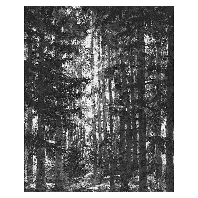Komar Infinity 2 Fototapete Lustres Lapland - B x H: 200 x 250 cm, Vlies - Schwarz-Weiß-Fotografie eines dichten Waldes mit schlanken Bäumen und starkem Kontrast zwischen Licht und Schatten, die Tiefe und Textur betont.