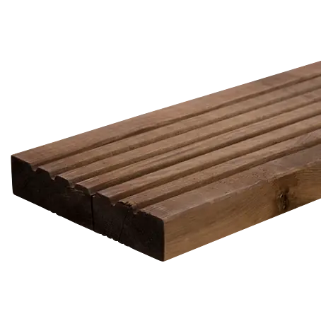 box cactus Buy Toothpick Cactus Phoenix, AZ | Stetsonia coryne