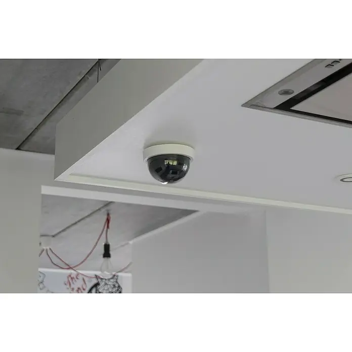 Chacon Cámara de vigilancia falsa Domo - Blanco - Cámara de vigilancia de techo con carcasa de cúpula para una monitorización interior discreta.
