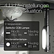 Eltra LED-Taschenlampe C34 (Batteriebetrieben, Schwarz/Grün, 85 lm - 550 lm) | BAUHAUS