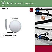 Paulmann Plug & Shine LED-Außenleuchte (Durchmesser: 50 cm, 1-fach, Warmweiß, IP67)