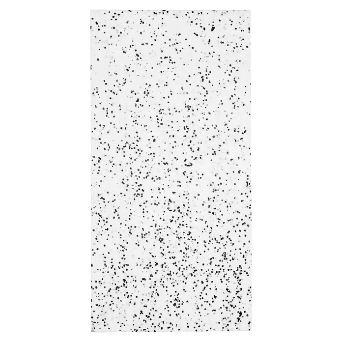 Mehrzweckdämmplatte WI/DI 040 - Stärke: 60 mm, Expandiertes Polystyrol (EPS), Wärmeleitstufe: 040 - Ein hochauflösendes Bild mit kleinen, dunklen Punkten auf einem hellen Untergrund, die eine interessante Textur erzeugen.