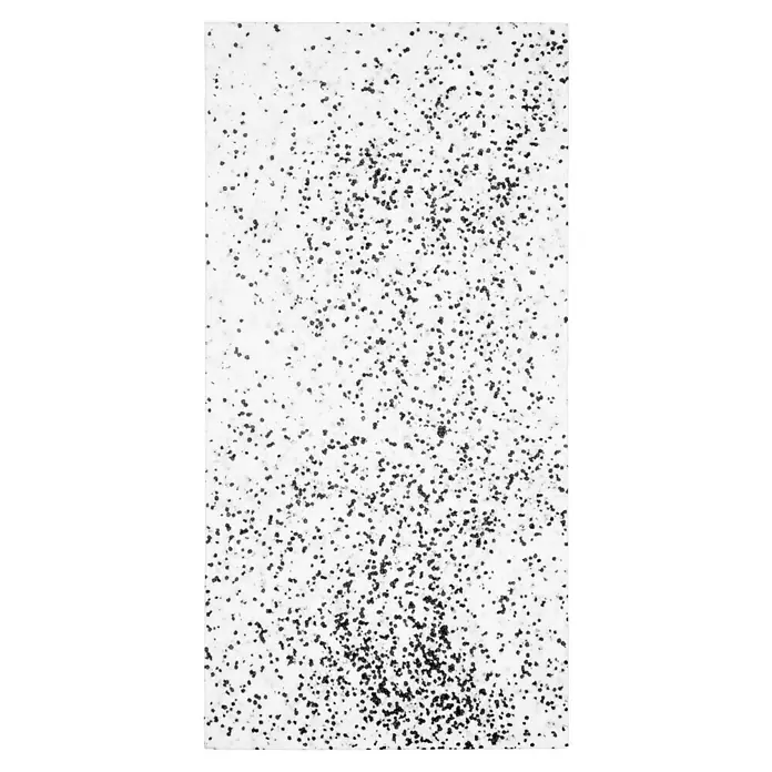 Dämmplatte WI/DI 040 - Stärke: 120 mm, Expandiertes Polystyrol (EPS), Wärmeleitfähigkeit: 0,039 W/(mK) - Schwarze Punkte sind auf weißem Grund verteilt, wobei sich unten eine höhere Konzentration von Punkten befindet.