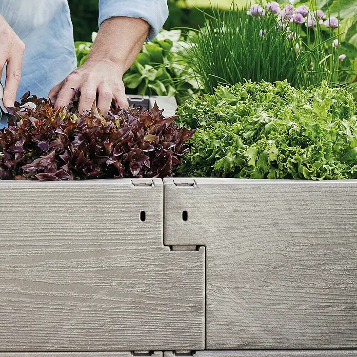 Juwel Hochbeet Timber - 130 x 60 x 80 cm, Kunststoff, Grau - Hochbeet aus robustem Material mit Salat und Kräutern bepflanzt, ideal für den Garten.