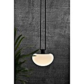 Nordlux Sponge LED-Leuchte Sponge (4,8 W, Warmweiß) | BAUHAUS