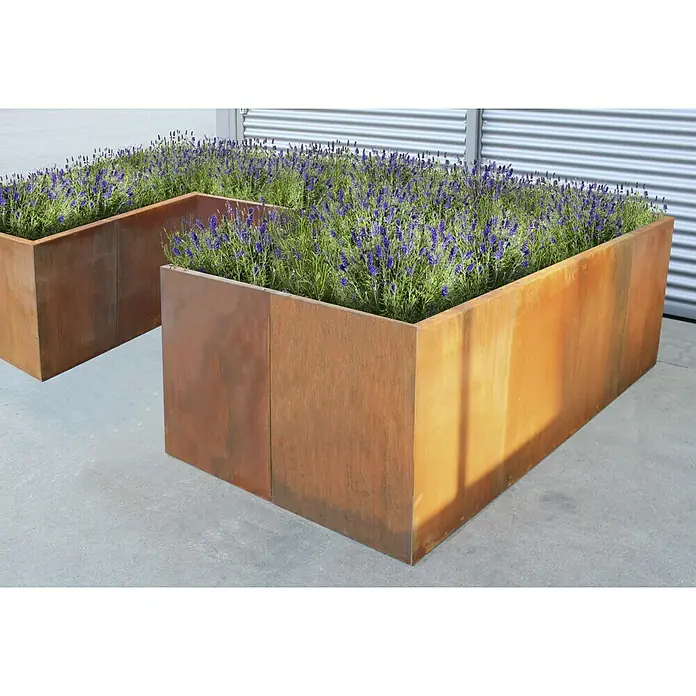 Palatino Hochbeet Urban U-Form - 300 x 200 x 70 cm, Stahl, Rostbraun - Rostfarbener Pflanzkasten mit üppigen lila Lavendelblüten, ideal für stilvolle Gartengestaltung und Außenbereiche.