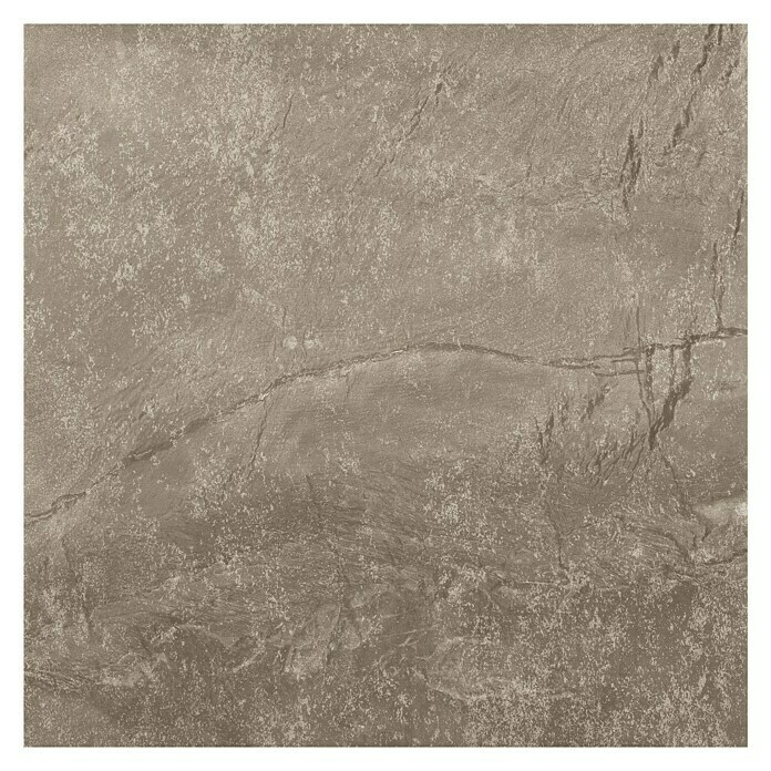 Feinsteinzeugfliese Camarque (100 x 100 cm, Marron, Matt) | BAUHAUS