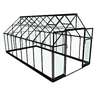 Halls Gewächshaus Qube 816 (Außenmaß inkl. Dachüberstand (B x T): 261 x 508 cm, 3 mm, Schwarz)