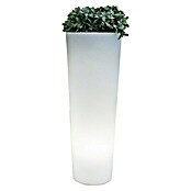New Garden Maceta LED Ficus 80 (Polietileno, Altura: 800 mm)