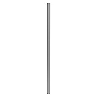 Walteco Noga za pohištvo (Ø x V: 3 x 80 cm, Jeklo, Siva)