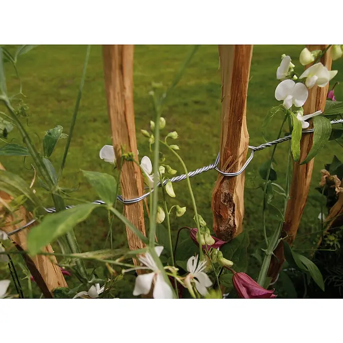Kiehnholz Valla de estacas - 500 x 90 cm, Avellano - Primer plano de estacas de madera aseguradas con alambre floral, creando un enrejado para plantas florecientes y vibrantes en un jardín verde y exuberante.