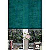 Estor enrollable Nasau (An x Al: 105 x 190 cm, Verde, Traslúcido)