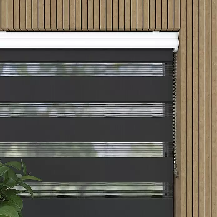 Expo Ambiente Doppelrollo mit Kassette - B x H: 40 x 175 cm, Schwarz, Tageslichtdurchlässig - Dunkelgraues und transparent gestreiftes Rollosystem an einer holzgetäfelten Wand mit weißem Kopfprofil und Perlkette.