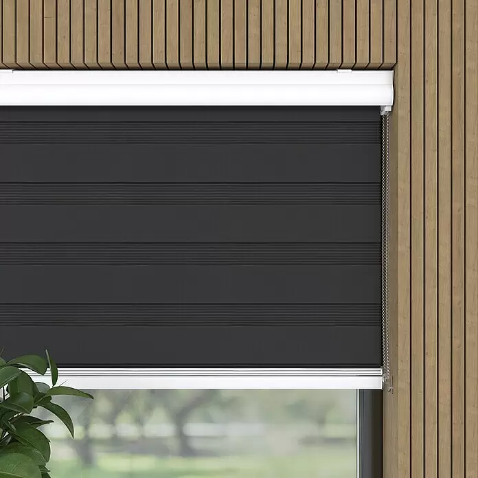 Expo Ambiente Doppelrollo mit Kassette - B x H: 40 x 175 cm, Schwarz, Tageslichtdurchlässig - Dunkelgraues Zebra-Rollo am Fenster, teilweise heruntergelassen, zeigt abwechselnd opake und transparente Horizontalstreifen zur Lichtregulierung.