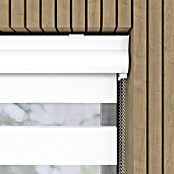 Expo Ambiente Doppelrollo mit Kassette (B x H: 100 x 175 cm, Weiß, Verdunkelung)
