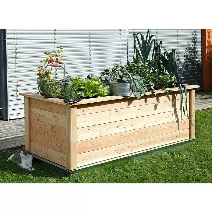 KGT Hochbeet Woody 210 - 214 x 99 x 79 cm, Holz, Natur - Hochbeet aus Holz mit verschiedenen Gemüsen und Kräutern, darunter Salat und Lauch, auf Rasen neben einem Haus. Eine Katze liegt daneben.
