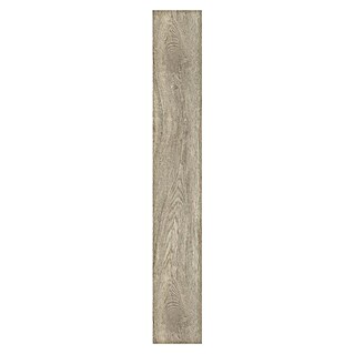 Aspecta Suelo de vinilo SPC Tundra Mist (1.220 x 226 x 5,2 mm, Efecto madera)