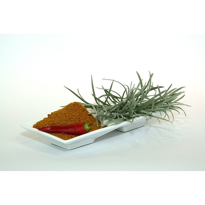 Piardino Currykraut (Topfgröße: 12 cm)
