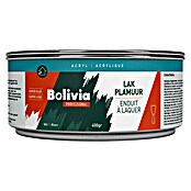 Bolivia Professional Lakplamuur Acryl blik (Helderwit, 400 g) | BAUHAUS