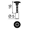 Walteco Schrauben (Ø x L: 5 x 16 mm, Pulverbeschichtet, 16 Stk.) | BAUHAUS