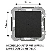 Siemens DELTA Mega Kontrollschalter SIE039444 (Carbon Metallic, Glänzend, 10 A, Unterputz) | BAUHAUS