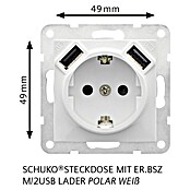 Siemens DELTA Viva USB-Steckdose SIE039697 (Polar Weiß, Glänzend, 16 A) | BAUHAUS