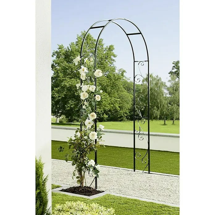 Gardol Rosenbogen Elian - Schwarz, 26 x 120 x 240 cm - Ein Rosenbogen aus Metall, der mit weißen Rosen geschmückt ist, steht in einem Garten mit Kiesweg und Rasenfläche.