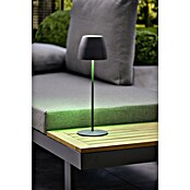 Lavida Akku-Tischleuchte Silea (3,3 W, Anthrazit, Lichtfarbe: RGBW) | BAUHAUS
