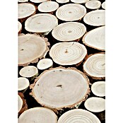 Holzpaneele Pure Wood (Echtholz, 380 x 760 mm, Stärke: 33 mm, 2 Paneele)