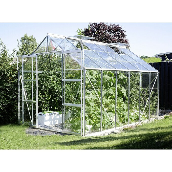 Vitavia Gewächshaus (3,83 x 2,57 x 2,46 m, Farbe: Aluminium, Einscheibensicherheitsglas (ESG), 3 mm)