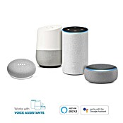 Avidsen Módulo de comando inalámbrico WiFi (50 m) | BAUHAUS