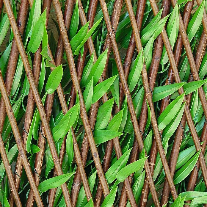 Tenax Divy 3D X-Tens Sichtschutz Bamboo