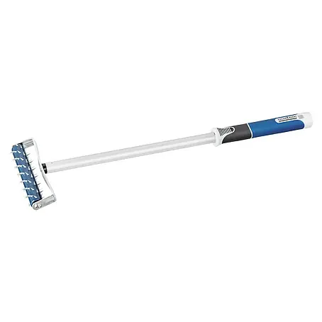 swingcolor  Stachelwalze