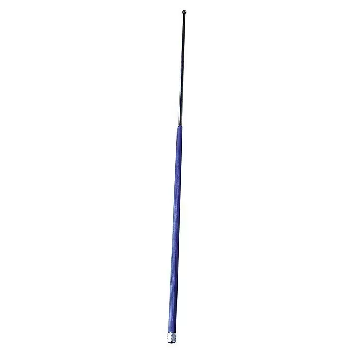Solo Verlängerungsrohr - Edelstahl, 120 cm, Passend für: Solo Motorspritze 433 - Blauer, gerippter Teleskopstab mit schwarzer Spitze und silberner Basis.