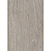 LOGOCLIC Edition Laminat Vinto Honey Moon (Honey Moon, Landhausdiele, 1 288 x 195 x 8 mm) | BAUHAUS
