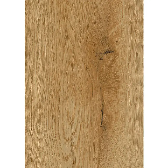 LOGOCLIC Edition Laminatmuster Riverside - 300 x 245 x 7 mm, Landhausdiele - Nahaufnahme eines hellbraunen Eichenholzfurniers, das die natürliche Maserung und einen kleinen Ast zeigt. Die Textur verleiht Wärme.