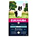 Eukanuba Droogvoer voor honden Adult Small/Medium Breed Lam & Rijst 