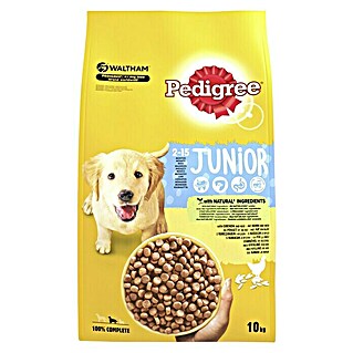 Pedigree Droogvoer voor honden Junior (10 kg, Kip en rijst)