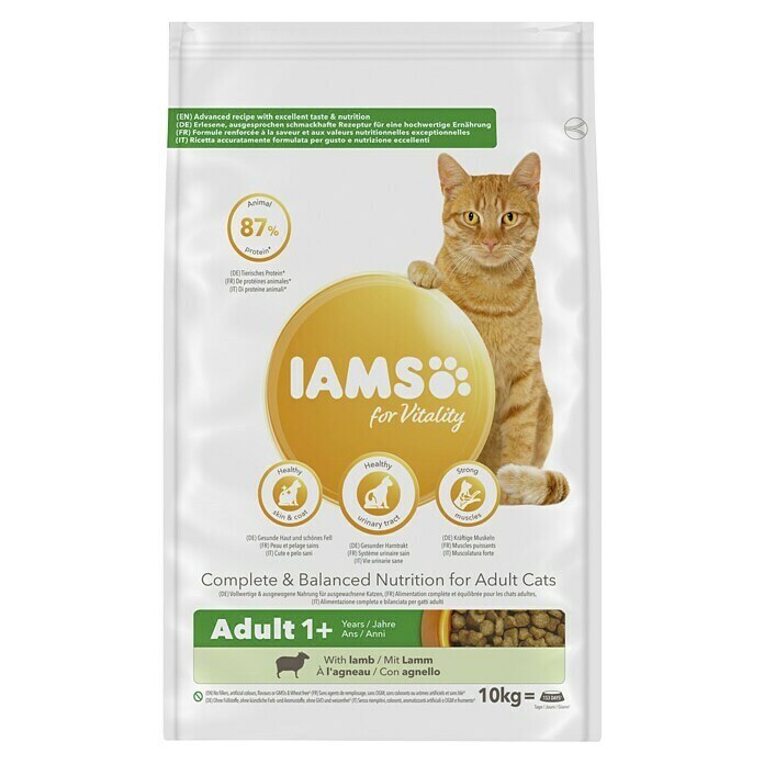 Iams Droogvoer voor katten Adult (10 kg, Kip) | BAUHAUS