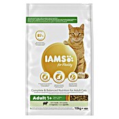 Iams Droogvoer voor katten Adult (10 kg, Kip) | BAUHAUS