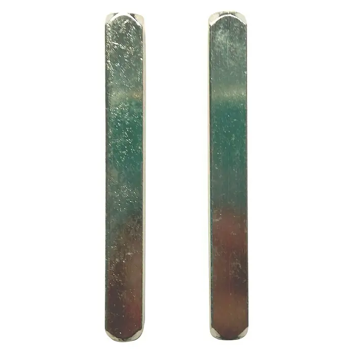 Pasador cuadrado centrado - L x An x Al: 69 x 8 x 8 mm - Primer plano de dos herramientas de estampado oblongas de color plateado con extremos redondeados sobre una superficie blanca.